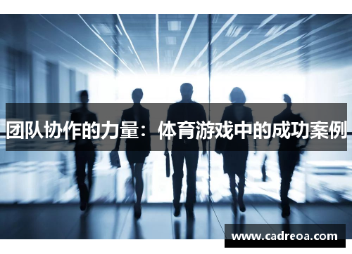 团队协作的力量：体育游戏中的成功案例