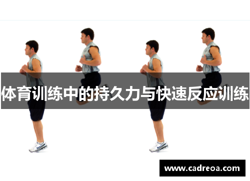 体育训练中的持久力与快速反应训练
