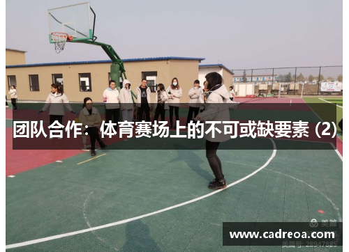 团队合作：体育赛场上的不可或缺要素 (2)