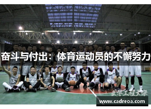 奋斗与付出：体育运动员的不懈努力