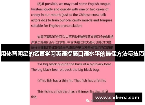 用体育明星的名言学习英语提高口语水平的最佳方法与技巧