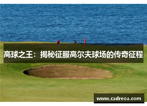 高球之王：揭秘征服高尔夫球场的传奇征程