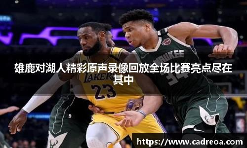 多宝电竞官网