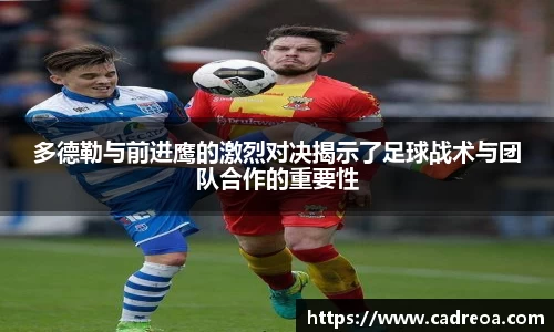 多宝电竞